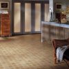 Cushion Vinyl Flooring – Armstrong Cushionstep Memories Collection - Image 46