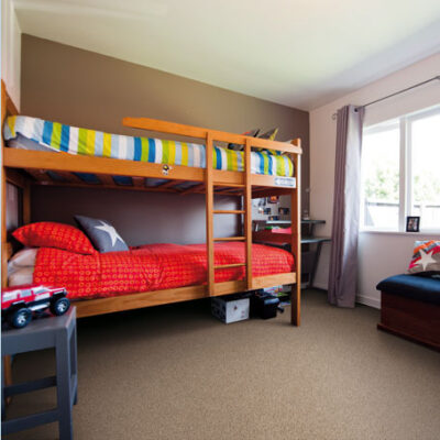 Textured Carpet Flooring – Peerless Angola Collection