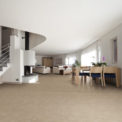Textured Carpet Flooring – Peerless Breton III Collection