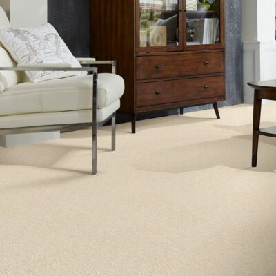 Berber/Loop Carpet Flooring – Shaw Floors Caraban Collection