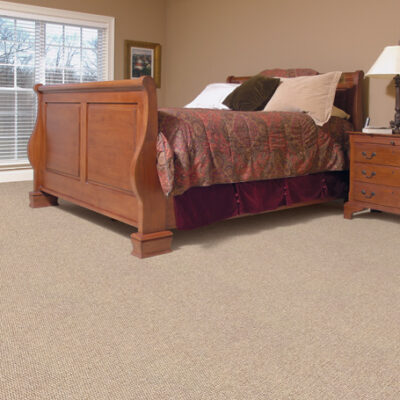 Berber/Loop Carpet Flooring - Peerless Freestar Collection