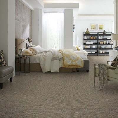 Berber/Loop Carpet Flooring – Shaw Floors Mythical Treasure Collection