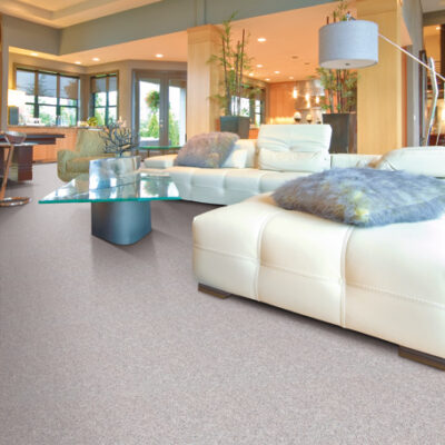 Berber/Loop Carpet Flooring – Peerless Pembroke III Collection