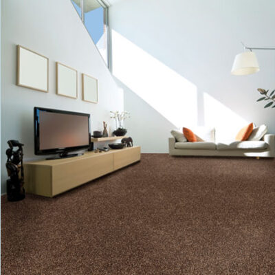 Textured Carpet Flooring – Peerless Atlantic City II P4400