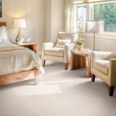 Berber/Loop Carpet Flooring - Peerless Fieldfare P8263