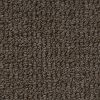 Berber/Loop Carpet Flooring - Peerless Simply Splendid P6561 - Image 12