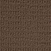 Berber/Loop Carpet Flooring - Peerless Simply Splendid P6561 - Image 13