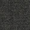Berber/Loop Carpet Flooring - Peerless Simply Splendid P6561 - Image 2