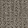 Berber/Loop Carpet Flooring - Peerless Simply Splendid P6561 - Image 7