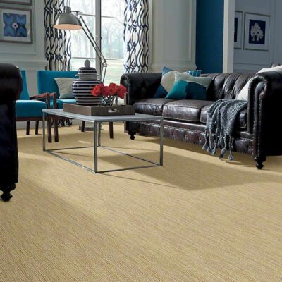 Berber/Loop Carpet Flooring - Shaw IMPRESSIBLE
