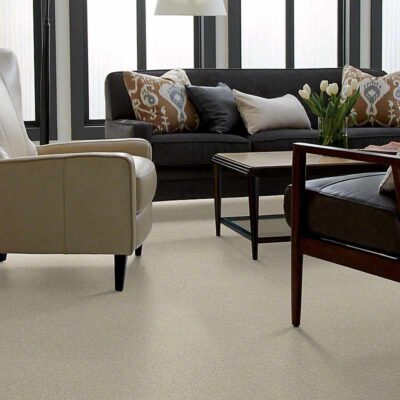 Textured Carpet Flooring - Shaw PLATINUM TEXTURE 15'