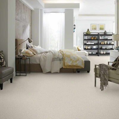 Textured Carpet Flooring - Shaw DENALI TEXTURE