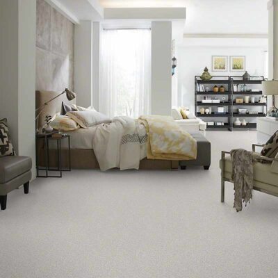 Textured Carpet Flooring - Shaw ANCHORAGE TEXTURE