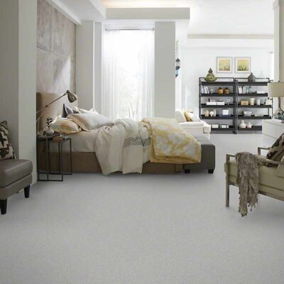 Textured Carpet Flooring - Shaw SILVER TEXTURE TONAL