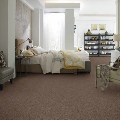 Berber/Loop Carpet Flooring - Shaw TRUE CONFIDENCE