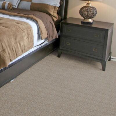 Textured Carpet Flooring - Dream Weaver 715 Sandstone