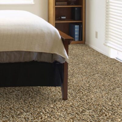 Textured Carpet Flooring - Dreamweaver Gemstone