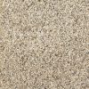 Textured Carpet Flooring – Dreamweaver Talk Of The Town - Image 8