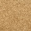 Textured Carpet Flooring – Dreamweaver Talk Of The Town - Image 5