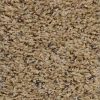 Textured Carpet Flooring – Dreamweaver Talk Of The Town - Image 4