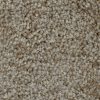 Textured Carpet Flooring – Dreamweaver Talk Of The Town - Image 3