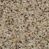 Textured Carpet Flooring – Dreamweaver Talk Of The Town - Image 11