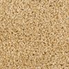 Textured Carpet Flooring – Dreamweaver Talk Of The Town - Image 9