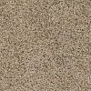 Textured Carpet Flooring – Dreamweaver Talk Of The Town - Image 7