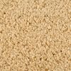 Textured Carpet Flooring – Dreamweaver Talk Of The Town - Image 6