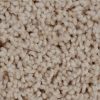 Textured Carpet Flooring – Dreamweaver Talk Of The Town - Image 2