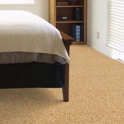 Textured Carpet Flooring – Dreamweaver Talk Of The Town