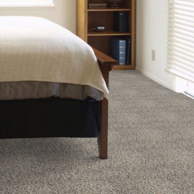 Textured Carpet Flooring – Dreamweaver Trifecta