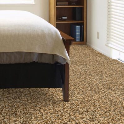 Textured Carpet Flooring - Dreamweaver Let's Roll