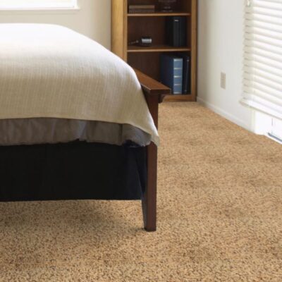 Textured Carpet Flooring - Dreamweaver Luminous