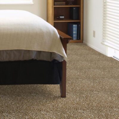 Textured Carpet Flooring - Dreamweaver Magnificent