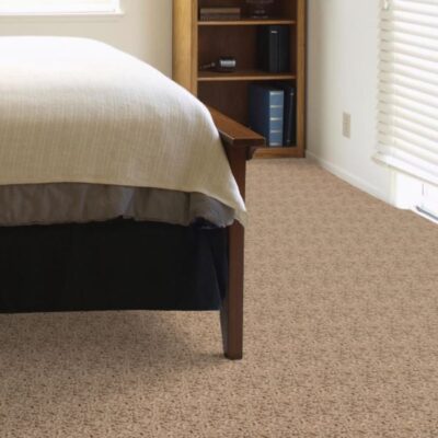 Textured Carpet Flooring – Dreamweaver Metropolitan