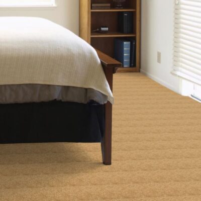Textured Carpet Flooring – Dreamweaver Network
