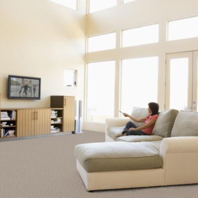 Textured Carpet Flooring - Dream Weaver HIGHLANDS