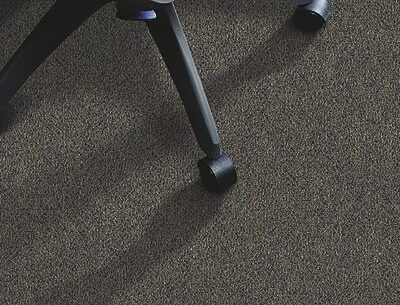 Berber/Loop Carpet Flooring – Mohawk – Point Guard