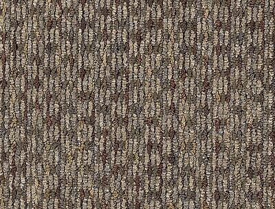 Berber/Loop Carpet Flooring – Mohawk – Replenish