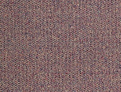 Berber/Loop Carpet Flooring – Mohawk – Tuition Prisms 26