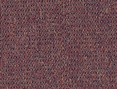 Berber/Loop Carpet Flooring – Mohawk – Tuition Prisms 28