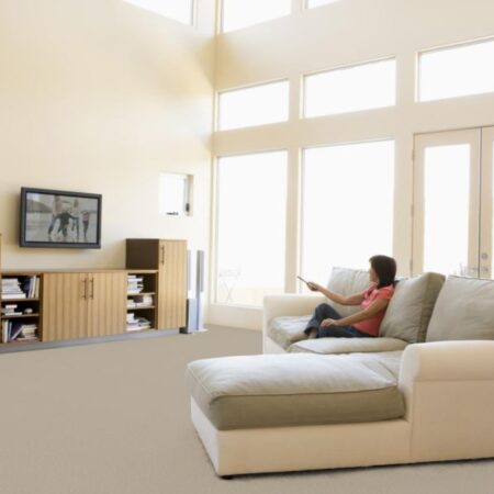 Textured Carpet Flooring - Dreamweaver - Boca